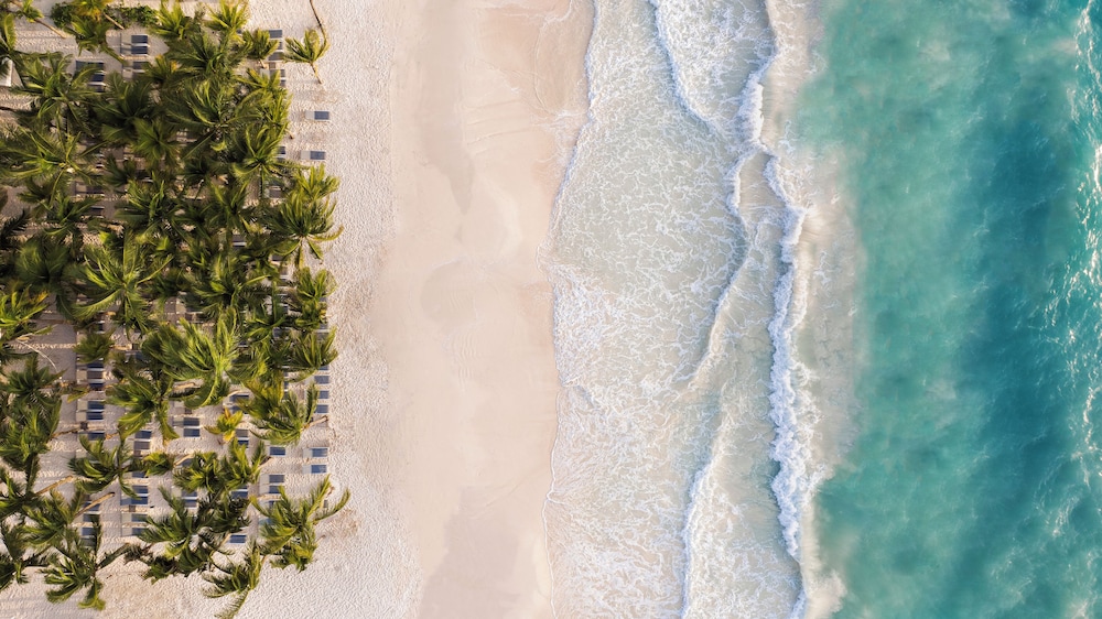 Catalonia Playa Maroma – All Inclusive — Beach in Playa del Carmen, Quintana Roo