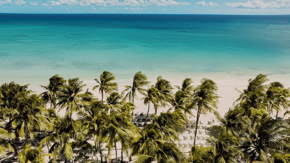 Catalonia Royal Tulum  Adults Only - All Inclusive — Beach in Puerto Aventuras, Quintana Roo