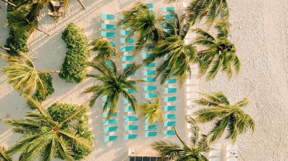 Catalonia Royal Tulum  Adults Only - All Inclusive — Hotel building in Puerto Aventuras, Quintana Roo