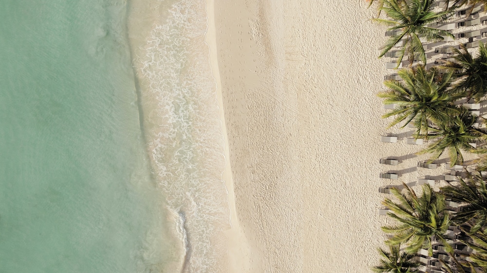 Catalonia Royal Tulum  Adults Only - All Inclusive — Beach in Puerto Aventuras, Quintana Roo