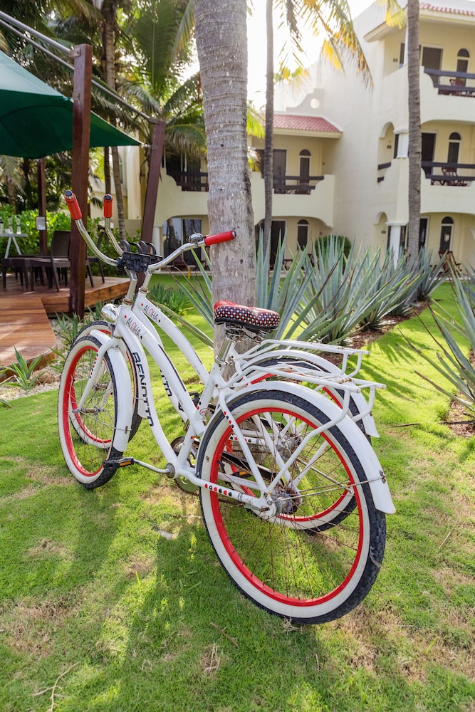 El Dorado Royale, All & More Inclusive Adults Only — Attractions in the area in Playa del Carmen, Quintana Roo