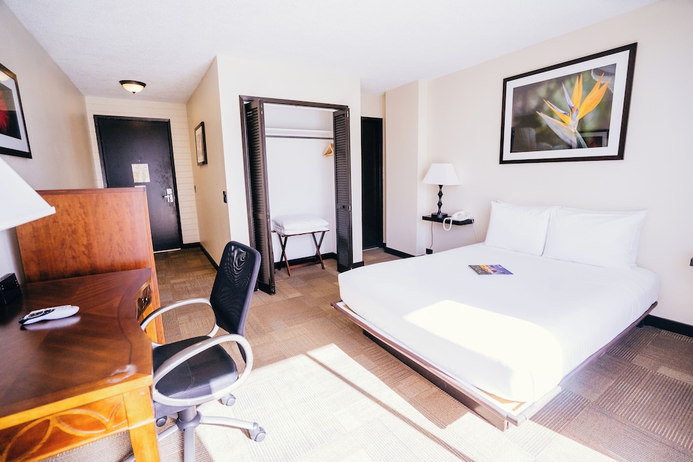Stay Hotel Waikiki — Hotel rooms in Honolulu, Hawaii