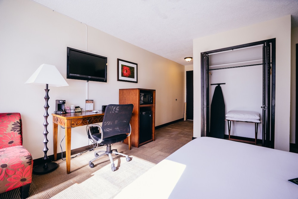 Stay Hotel Waikiki — Hotel rooms in Honolulu, Hawaii
