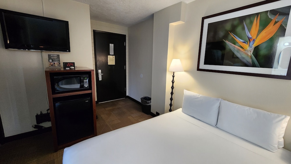 Stay Hotel Waikiki — Hotel rooms in Honolulu, Hawaii