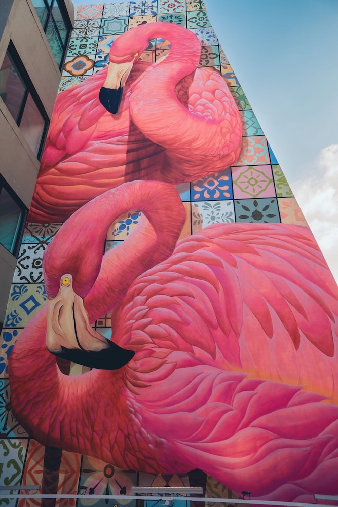 Flamingo Cancun - All Inclusive — Hotel building in Cancun, Quintana Roo