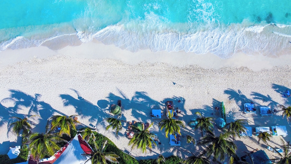 The Grand Oasis Cancun - All Inclusive — Beach in Cancun, Quintana Roo