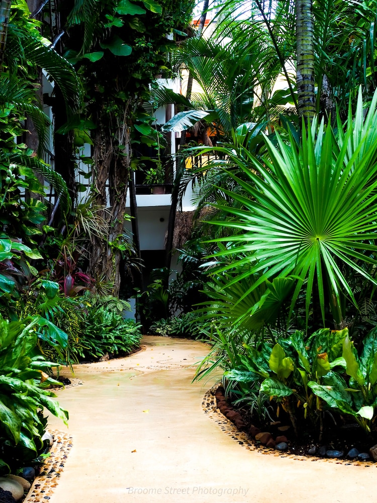 Kinbe Hotel Boutique — Hotel building in Playa del Carmen, Quintana Roo