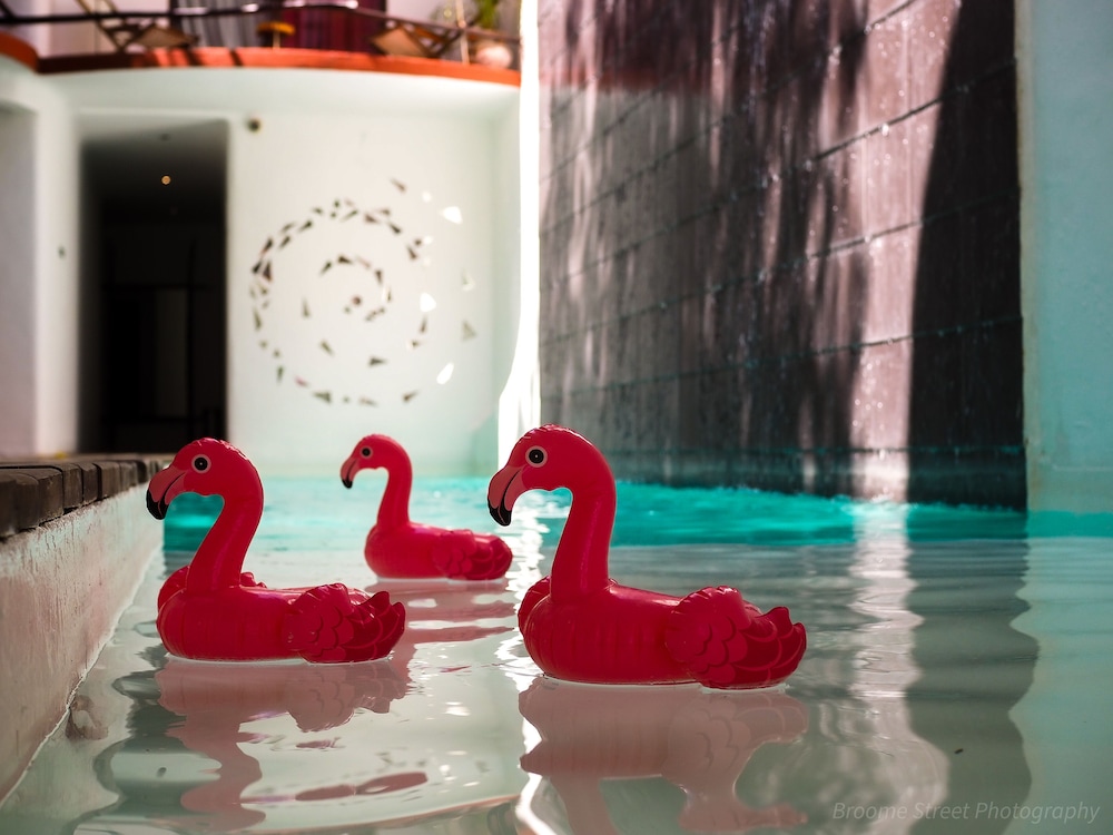 Kinbe Hotel Boutique — Swimming pool in Playa del Carmen, Quintana Roo