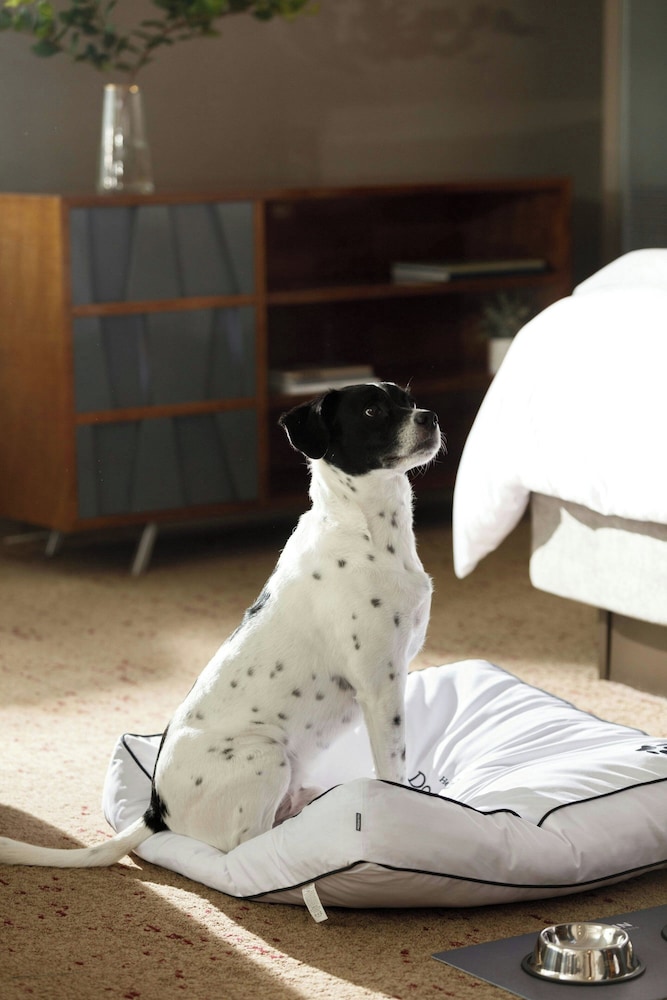 The Westin Fort Lauderdale — Hotel rooms in Fort Lauderdale, Florida