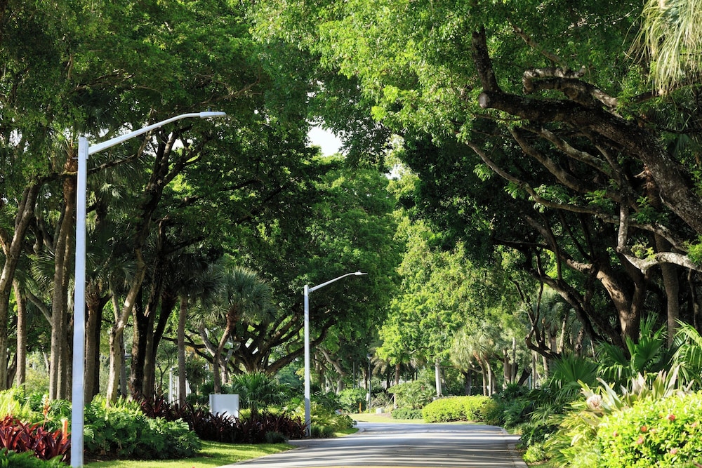The Westin Fort Lauderdale — Attractions in the area in Fort Lauderdale, Florida