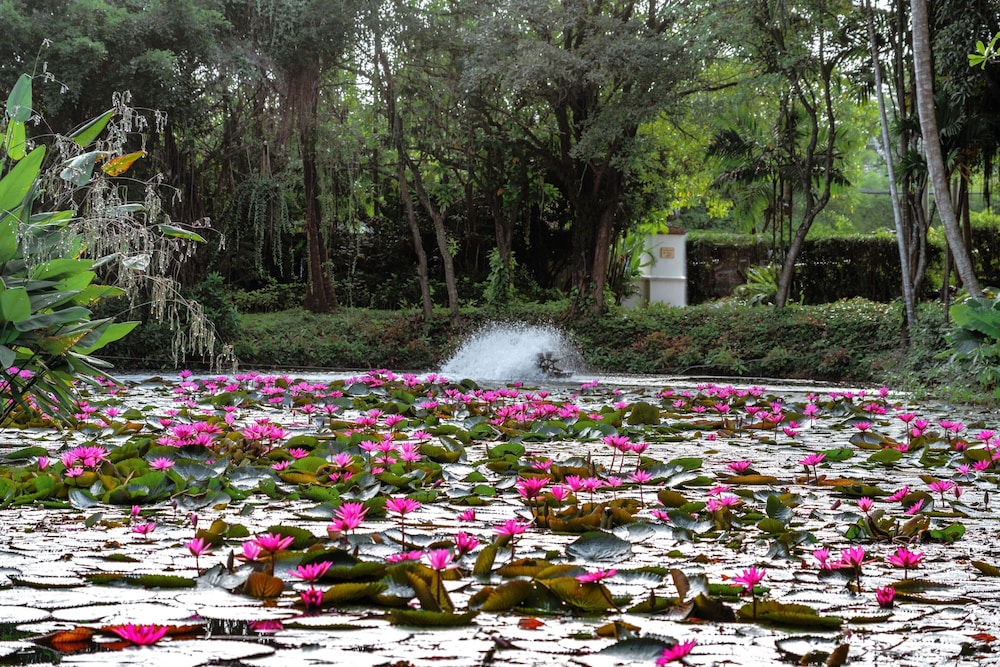 Marriott's Phuket Beach Club — Attractions in the area in Mai Khao, Phuket Province