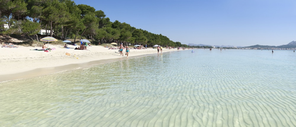 INNSiDE by Meliá Alcudia — Beach in Alcudia, Balearic Islands