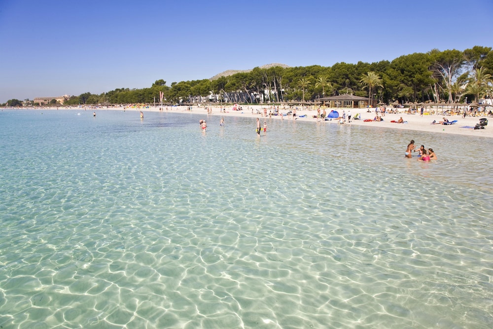 INNSiDE by Meliá Alcudia — Beach in Alcudia, Balearic Islands