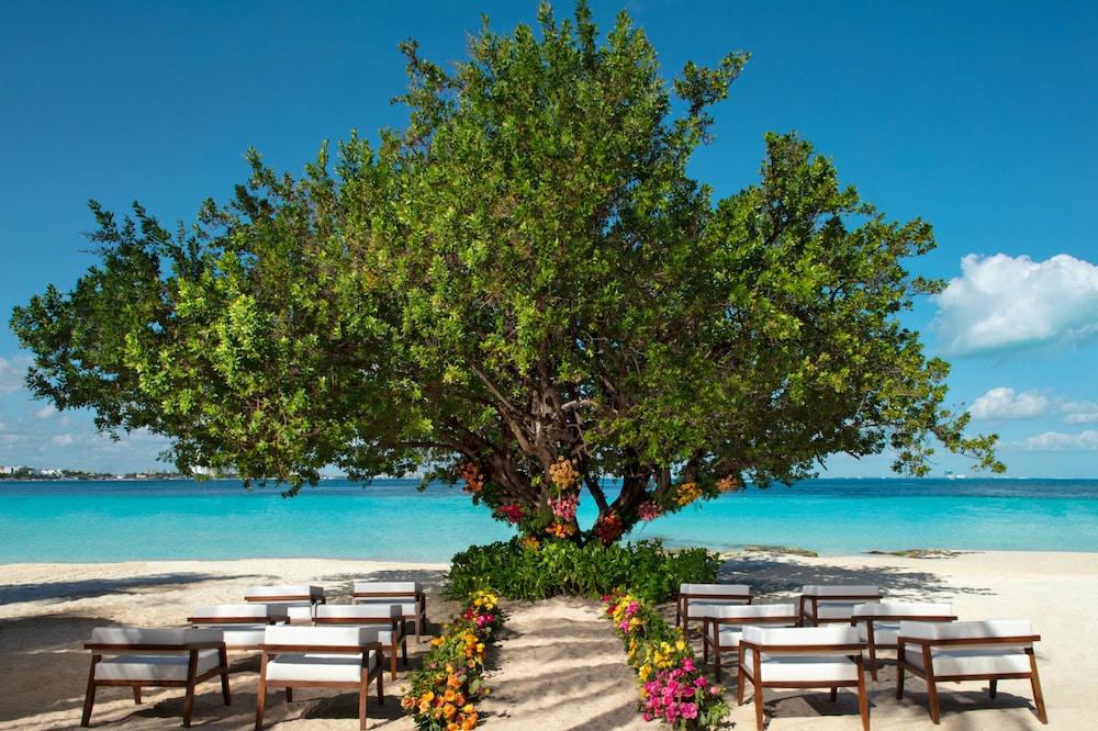 Dreams Sands Cancun Resort & Spa - All Inclusive — Beach in Cancun, Quintana Roo