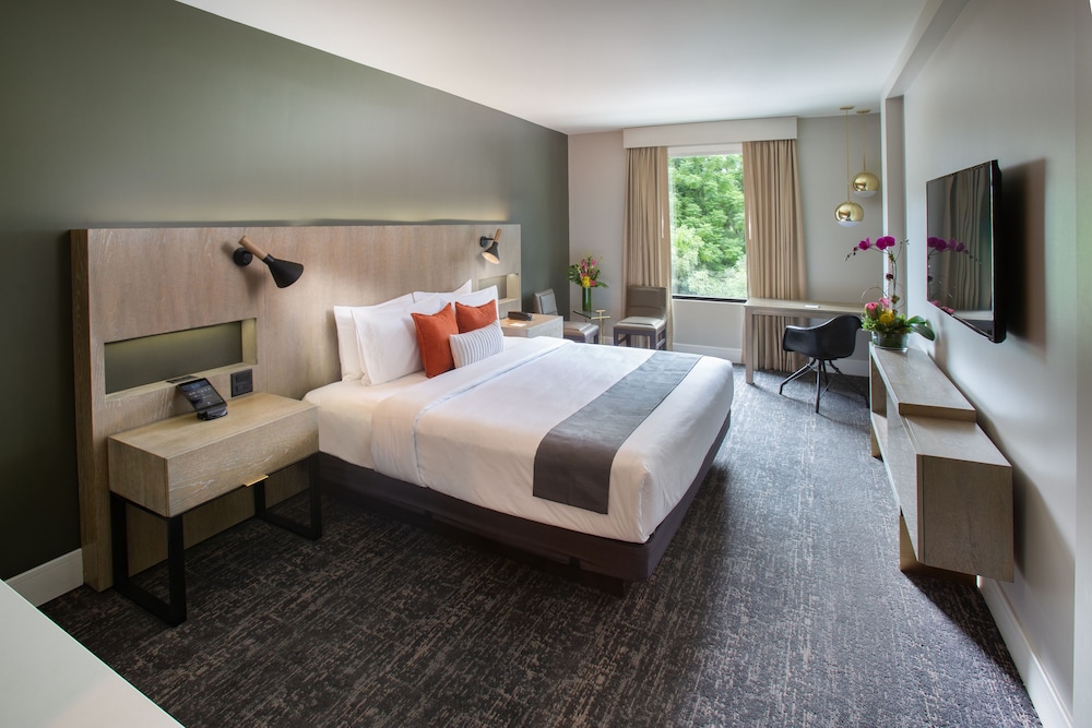 The Delaney Hotel — Hotel rooms in Orlando, Florida