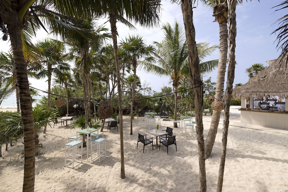 Paradisus Playa del Carmen – Riviera Maya - All Inclusive — Restaurant & bars in Playa del Carmen, Quintana Roo