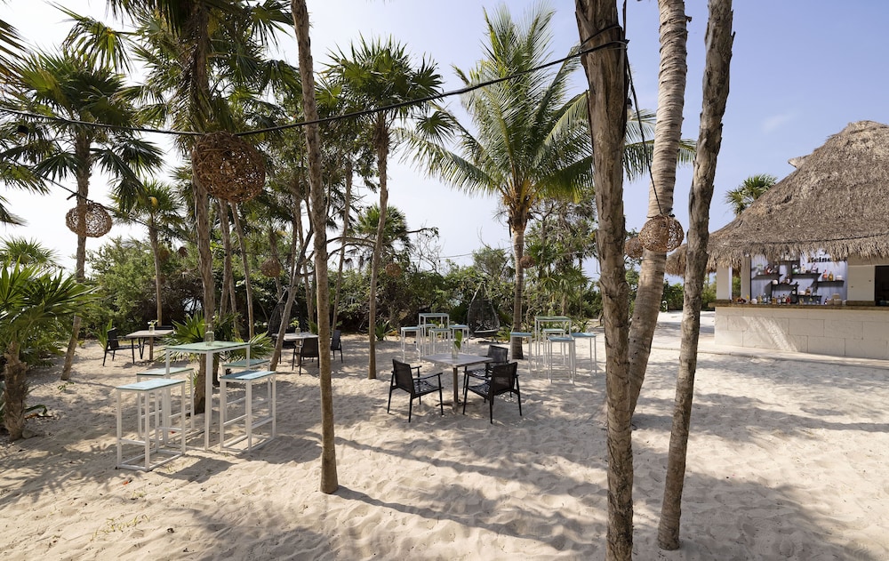 Paradisus Playa del Carmen – Riviera Maya - All Inclusive — Restaurant & bars in Playa del Carmen, Quintana Roo