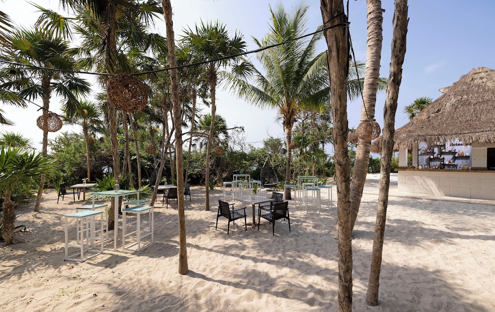 Paradisus La Perla - Adults Only - Riviera Maya - All Inclusive — Beach in Playa del Carmen, Quintana Roo