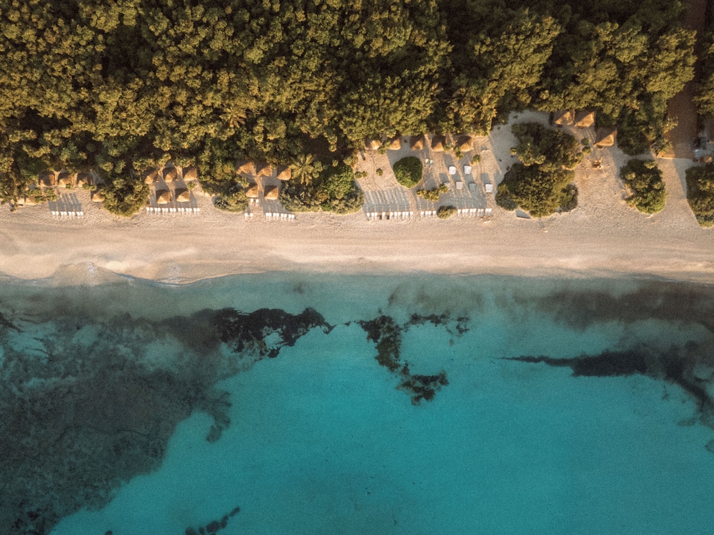 Paradisus La Perla - Adults Only - Riviera Maya - All Inclusive — Beach in Playa del Carmen, Quintana Roo