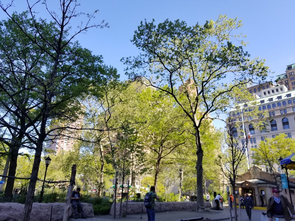 Hilton Garden Inn NYC Financial Center/Manhattan Downtown — Attractions in the area in New York City, New York State