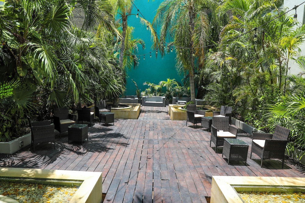 The Palm at Playa — Restaurant & bars in Playa del Carmen, Quintana Roo