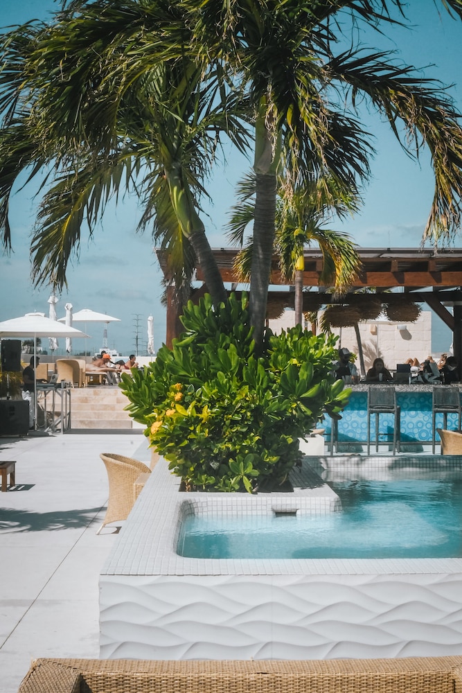 The Palm at Playa — Restaurant & bars in Playa del Carmen, Quintana Roo