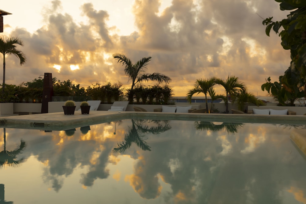 The Palm at Playa — Swimming pool in Playa del Carmen, Quintana Roo