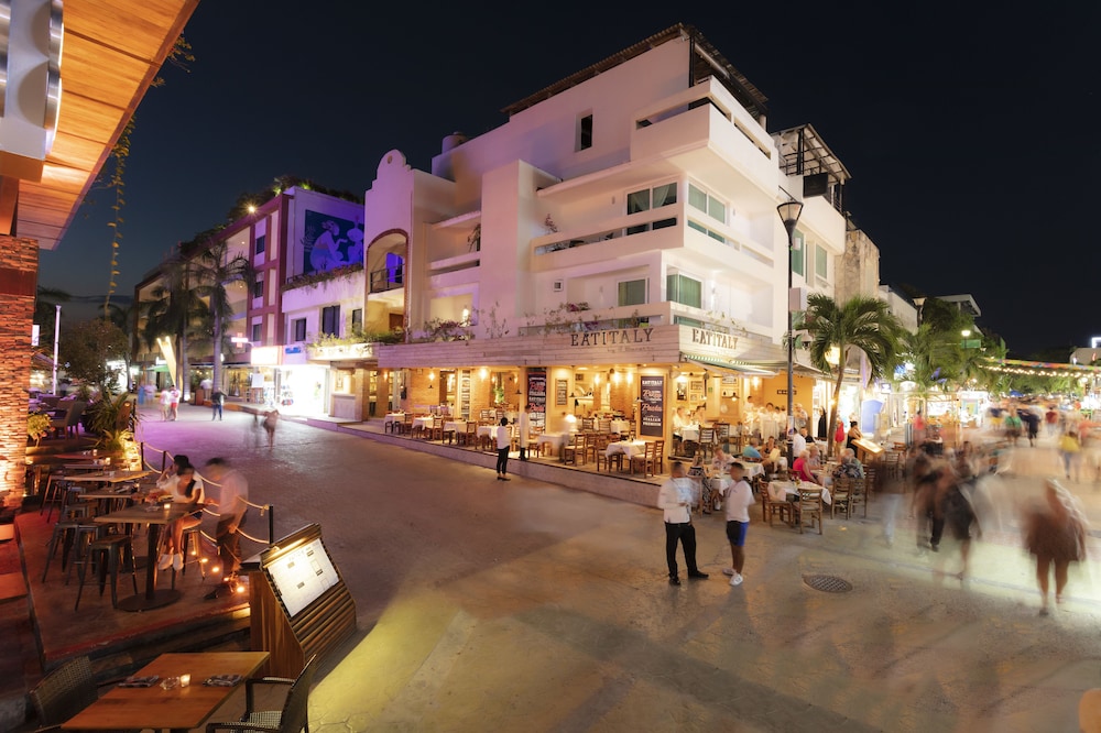 The Palm at Playa — Restaurant & bars in Playa del Carmen, Quintana Roo