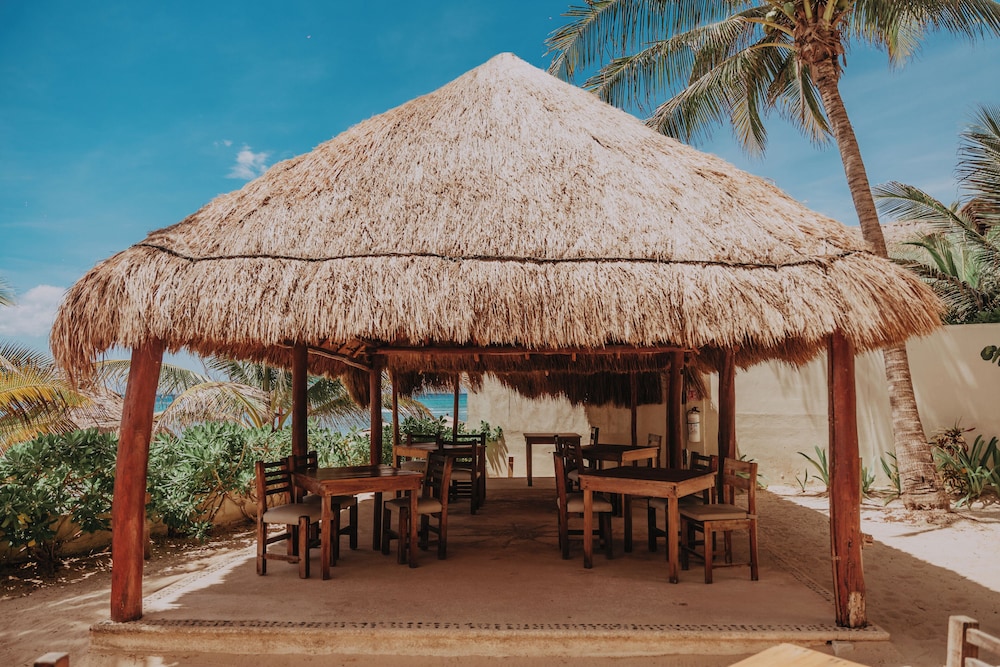 Petit Lafitte Beachfront Hotel & Bungalows — Restaurant & bars in Playa del Carmen, Quintana Roo