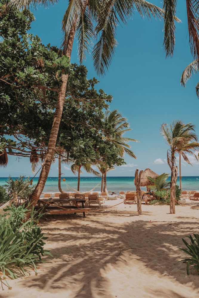 Petit Lafitte Beachfront Hotel & Bungalows — Beach in Playa del Carmen, Quintana Roo