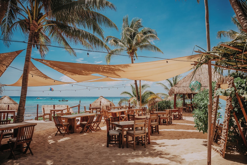 Petit Lafitte Beachfront Hotel & Bungalows — Restaurant & bars in Playa del Carmen, Quintana Roo