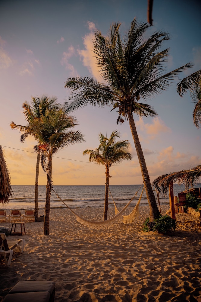 Petit Lafitte Beachfront Hotel & Bungalows — Beach in Playa del Carmen, Quintana Roo