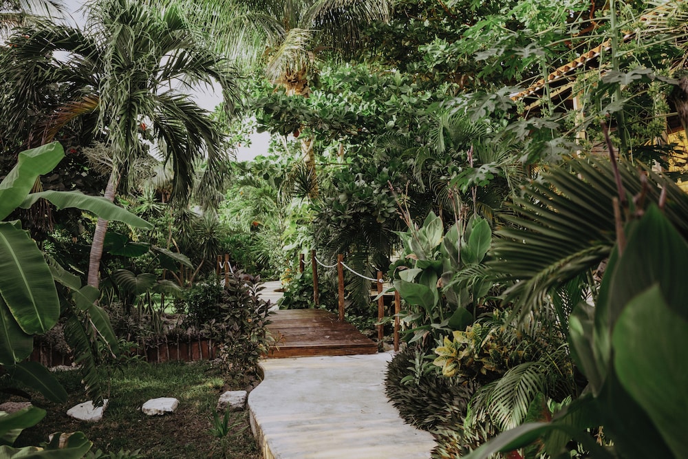 Petit Lafitte Beachfront Hotel & Bungalows — Hotel building in Playa del Carmen, Quintana Roo