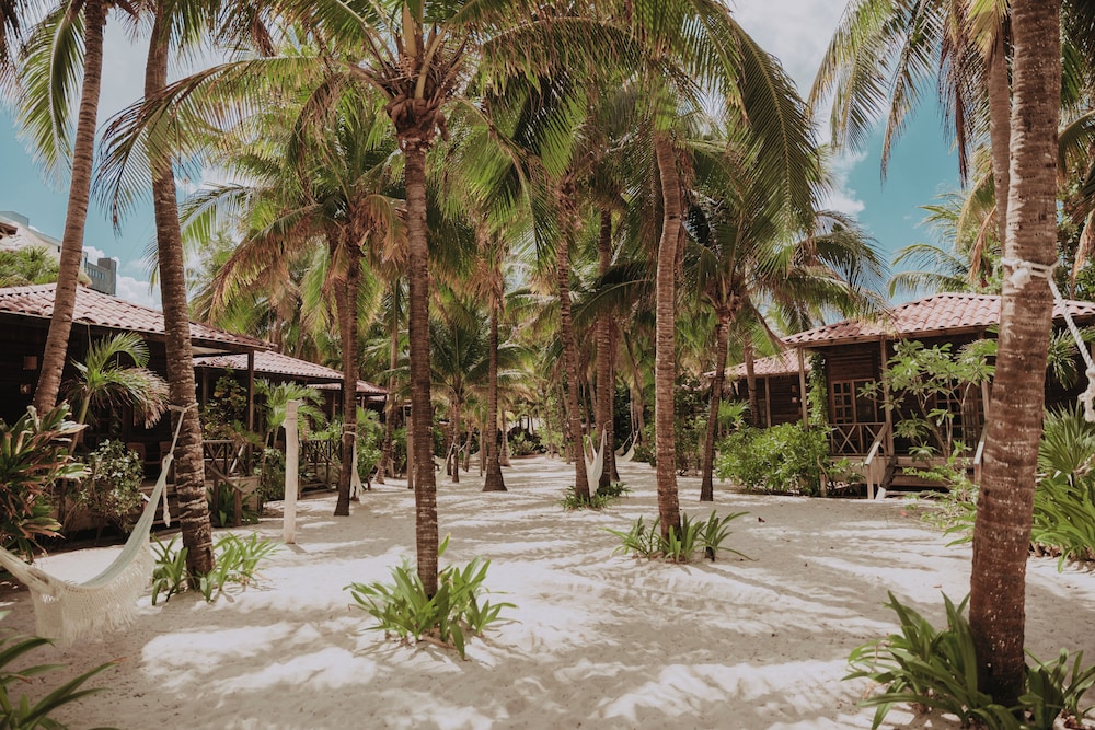Petit Lafitte Beachfront Hotel & Bungalows — Beach in Playa del Carmen, Quintana Roo
