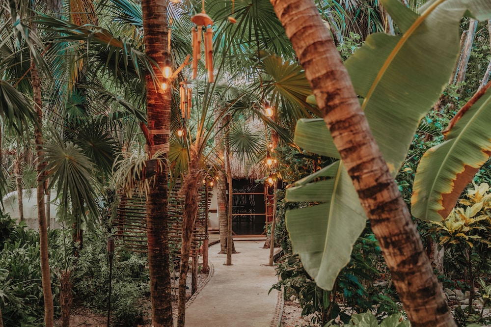 Petit Lafitte Beachfront Hotel & Bungalows — Hotel building in Playa del Carmen, Quintana Roo