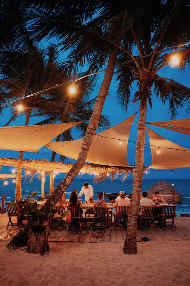 Petit Lafitte Beachfront Hotel & Bungalows — Restaurant & bars in Playa del Carmen, Quintana Roo