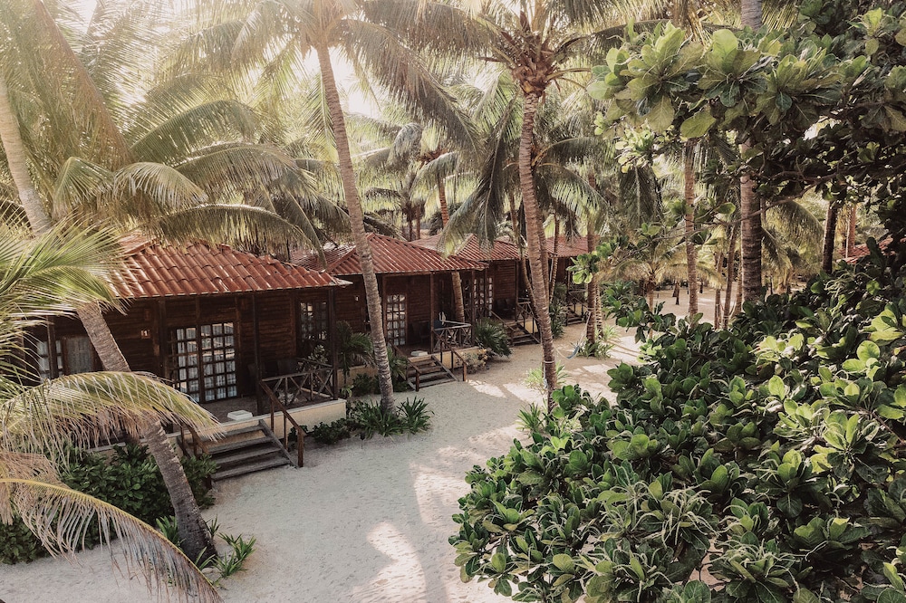 Petit Lafitte Beachfront Hotel & Bungalows — Hotel building in Playa del Carmen, Quintana Roo