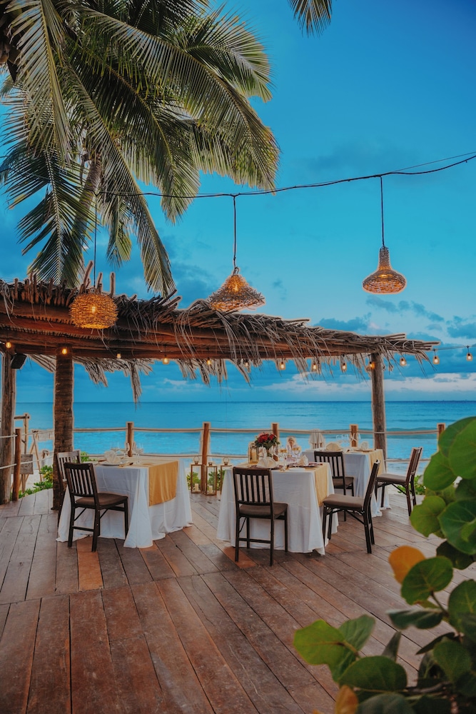 Petit Lafitte Beachfront Hotel & Bungalows — Restaurant & bars in Playa del Carmen, Quintana Roo