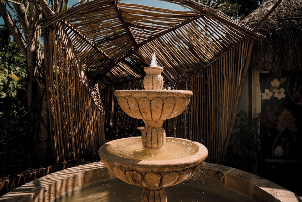 Petit Lafitte Beachfront Hotel & Bungalows — Attractions in the area in Playa del Carmen, Quintana Roo