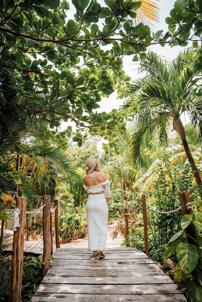 Petit Lafitte Beachfront Hotel & Bungalows — Hotel building in Playa del Carmen, Quintana Roo