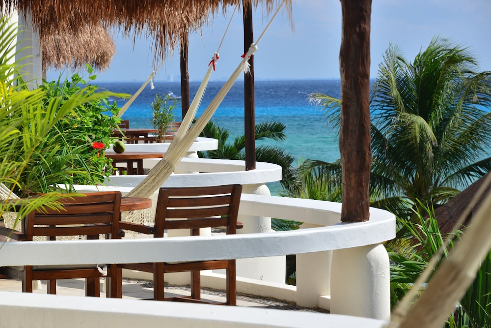 Playa Palms Beach Hotel — Restaurant & bars in Playa del Carmen, Quintana Roo