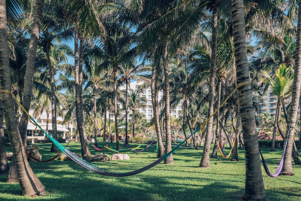 Iberostar Selection Cancún - All Inclusive — Sports & recreation in Cancun, Quintana Roo