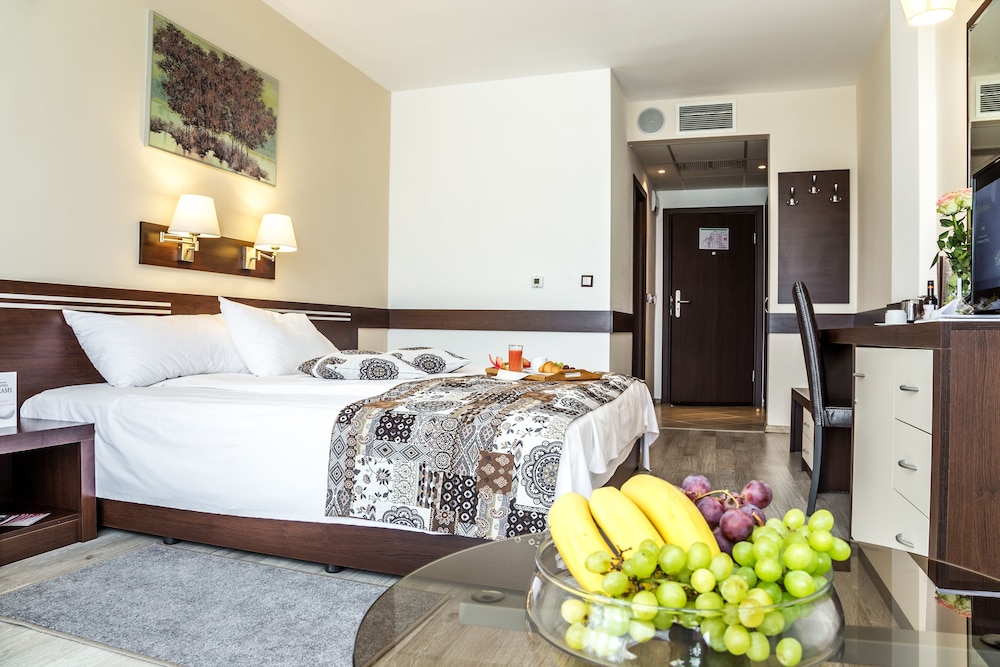 Grami Hotel Sofia - zdjęcie 4