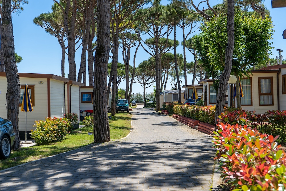 Camping Village Cavallino — Attractions in the area in Cavallino-Treporti, Veneto