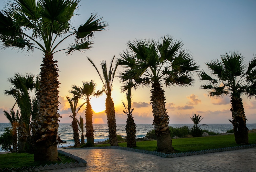 Louis Paphos Breeze — Beach in Chlorakas, Paphos Region