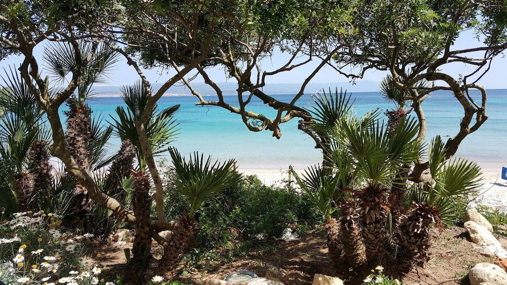 Camping Village Laguna Blu — Beach in Alghero, Sardinia