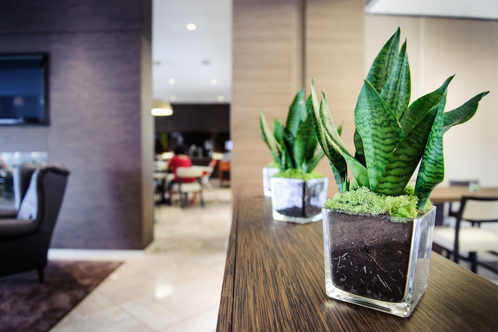 Enjoy Garda Hotel — Restaurant & bars in Peschiera del Garda, Veneto
