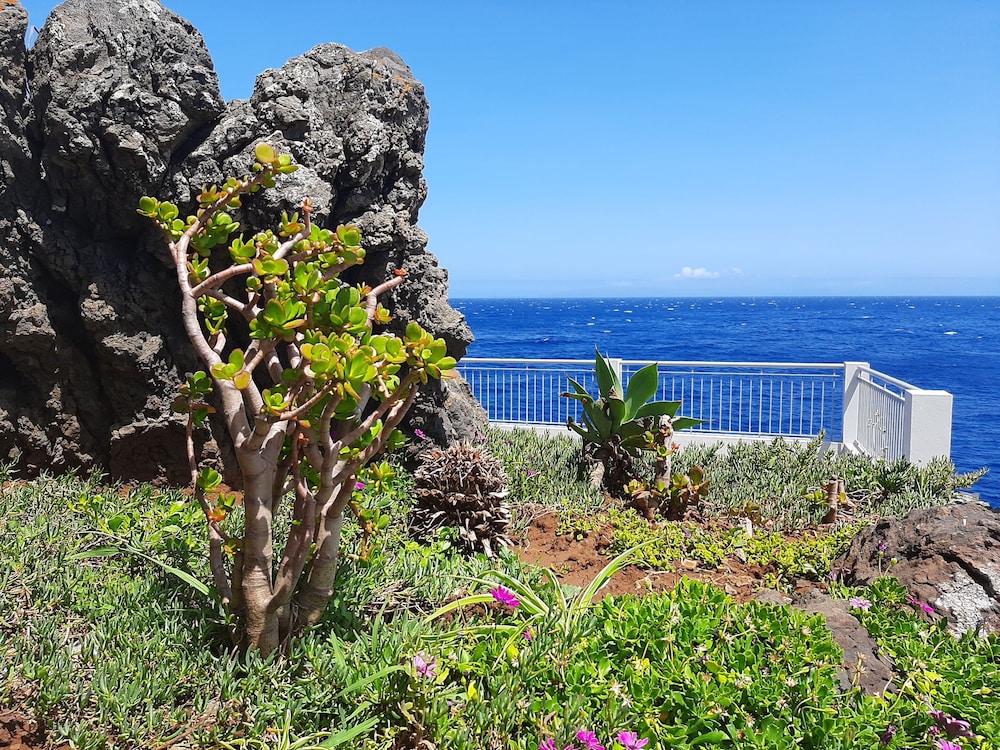 Rocamar Lido Resort — Beach in Santa Cruz, Madeira