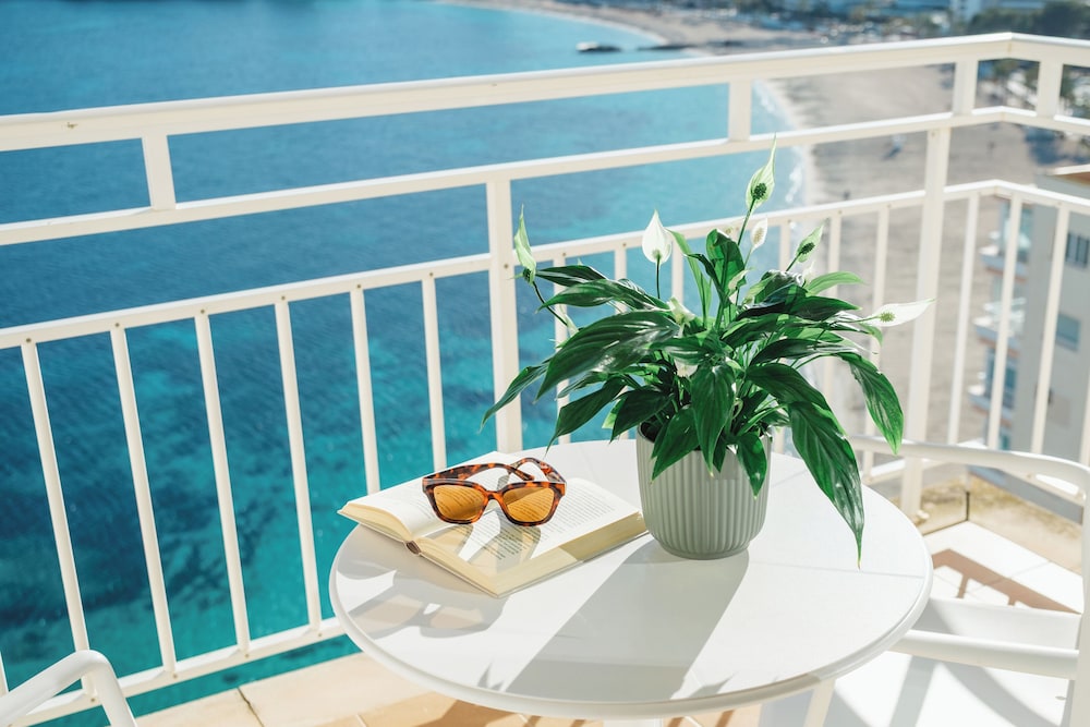 Bahia Principe Escape Coral Playa – Adults Only 16+ — Hotel rooms in Magaluf, Balearic Islands
