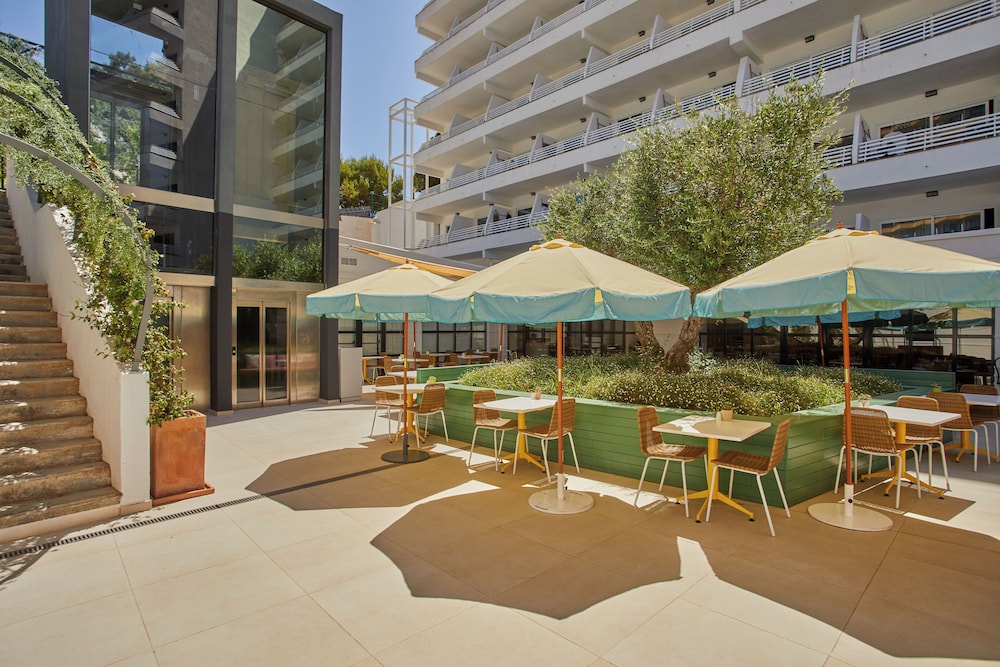 Alua Calvia - Hyatt Inclusive Collection — Restaurant & bars in Magaluf, Balearic Islands